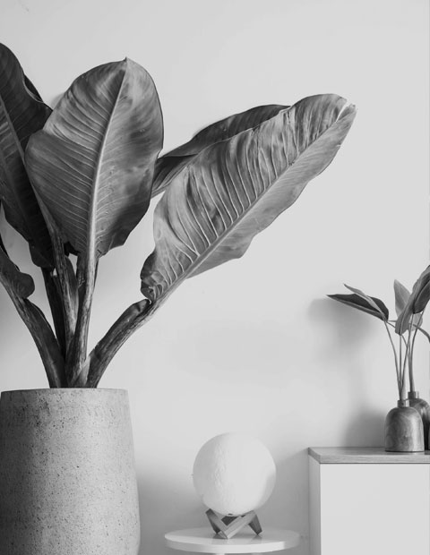 About Cozy Corners Home Decor